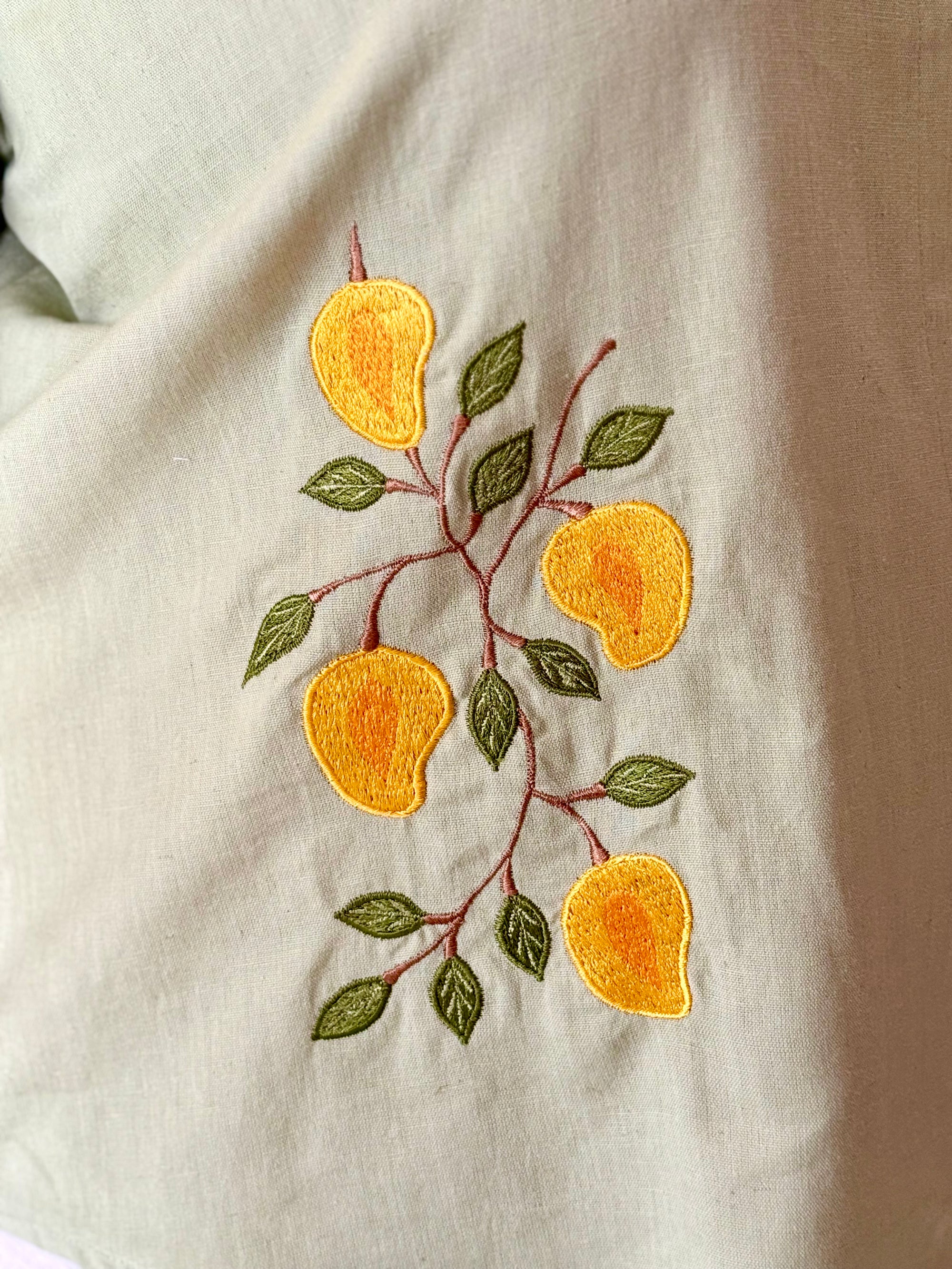 Aam Baat Cotton Shirt (Preorder)